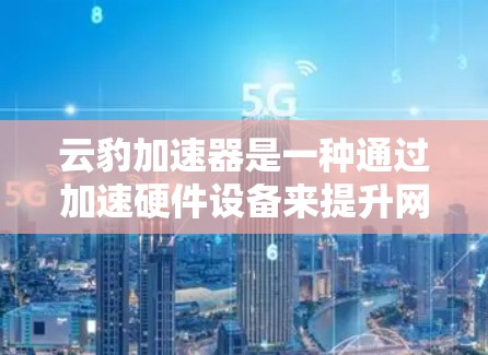 云豹加速器是一种通过加速硬件设备来提升网络或AI任务性能的技术。以下是对该技术的详细介绍