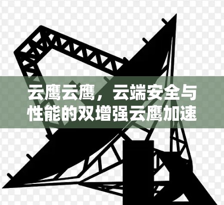云鹰云鹰，云端安全与性能的双增强云鹰加速器