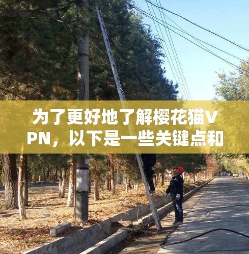 为了更好地了解樱花猫VPN，以下是一些关键点和建议