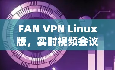 FAN VPN Linux版，实时视频会议的高效解决方案