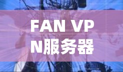 FAN VPN服务器，解密网络防护的新威胁