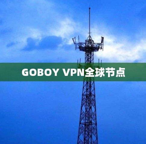 GOBOY VPN全球节点