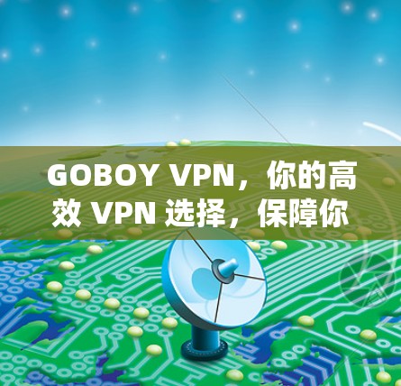 GOBOY VPN，你的高效 VPN 选择，保障你的网络安全与速度