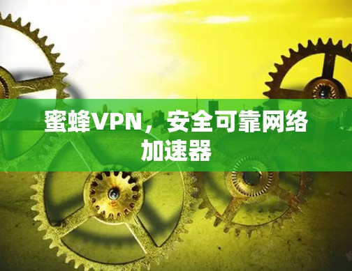蜜蜂VPN，安全可靠网络加速器