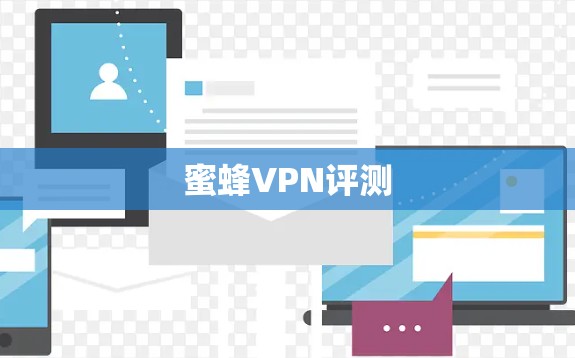 蜜蜂VPN评测