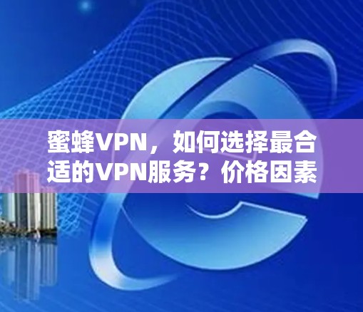 蜜蜂VPN，如何选择最合适的VPN服务？价格因素如何影响选择