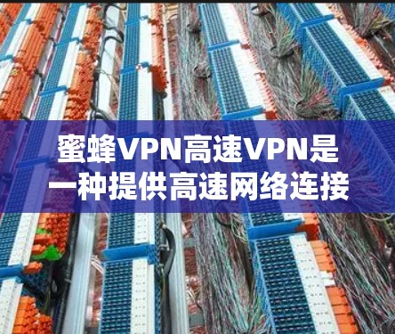 蜜蜂VPN高速VPN是一种提供高速网络连接和加密传输功能的VPN服务。它通过先进的加密技术保障了用户数据和隐私的安全，同时提供高效的速度和稳定的服务。以下是对蜜蜂VPN高速VPN的详细介绍