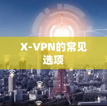 X-VPN的常见选项