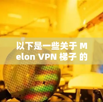 以下是一些关于 Melon VPN 梯子 的详细说明