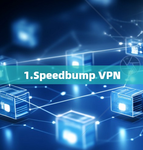 1.Speedbump VPN