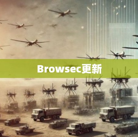 Browsec更新