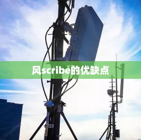 风scribe的优缺点