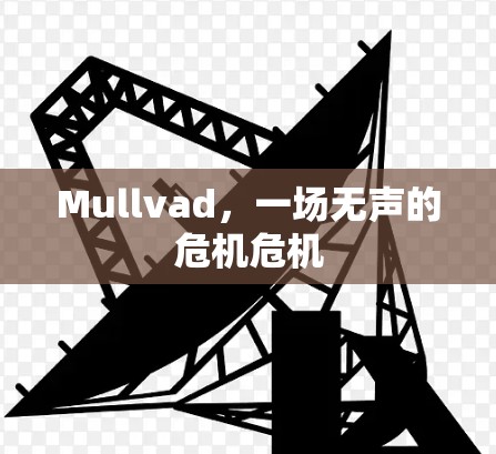 Mullvad，一场无声的危机危机