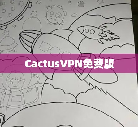 CactusVPN免费版 CactusVPN免费版