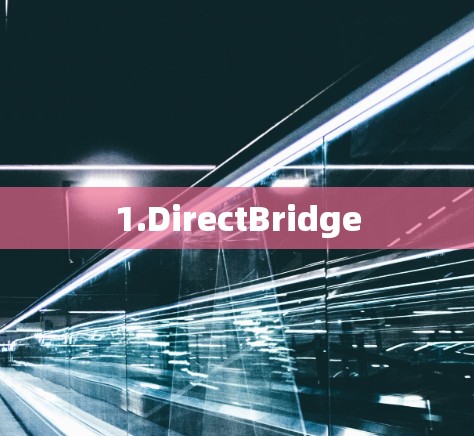 1.DirectBridge 1.DirectBridge
