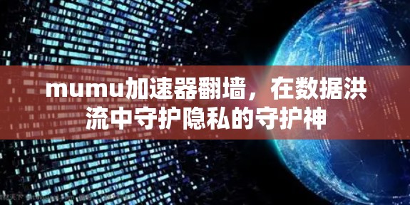mumu加速器翻墙,在数据洪流中守护隐私的守护神 mumu加速器翻墙,在数据洪流中守护隐私的守护神