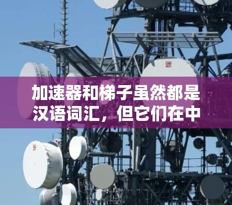 加速器和梯子虽然都是汉语词汇,但它们在中文中的含义、应用和用法有所不同 加速器和梯子虽然都是汉语词汇,但它们在中文中的含义、应用和用法有所不同