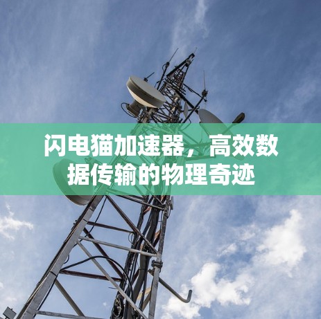 闪电猫加速器,高效数据传输的物理奇迹 闪电猫加速器,高效数据传输的物理奇迹
