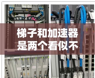 梯子和加速器是两个看似不同的概念,但在结构和用途上有显著差异。以下是它们的区别和比较 梯子和加速器是两个看似不同的概念,但在结构和用途上有显著差异。以下是它们的区别和比较