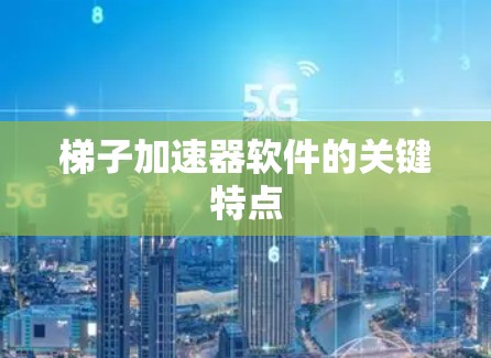梯子加速器软件的关键特点 梯子加速器软件的关键特点