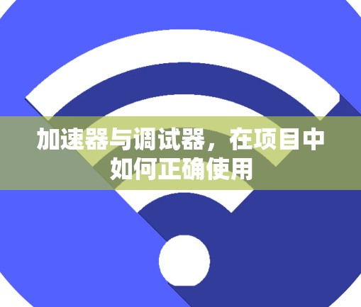 加速器与调试器,在项目中如何正确使用 加速器与调试器,在项目中如何正确使用