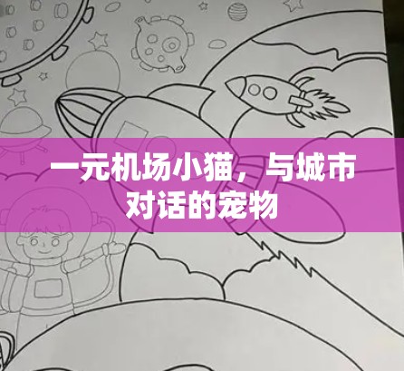 一元机场小猫,与城市对话的宠物 一元机场小猫,与城市对话的宠物