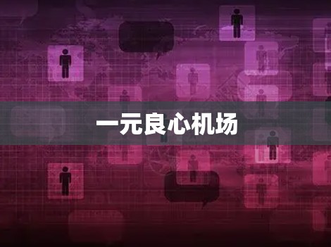 一元良心机场 一元良心机场
