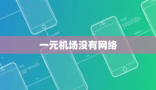 一元机场没有网络 一元机场没有网络