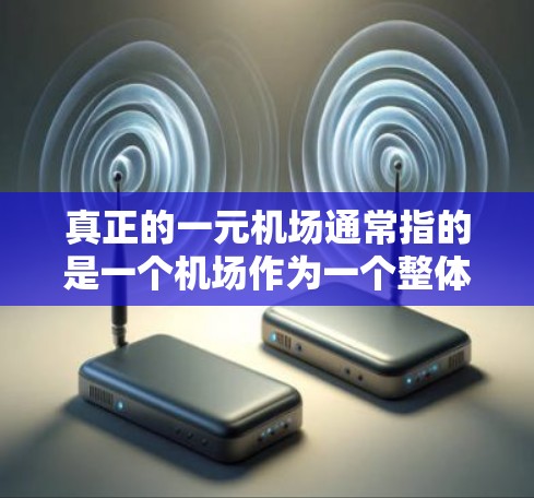 真正的一元机场通常指的是一个机场作为一个整体，只有一个主要的跑道或航站楼，没有其他复杂的设施或多条航线。这种设计意味着机场可能只服务于特定的飞行需求，或者可能仅限于特定的航程或客户群体