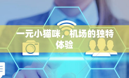 一元小猫咪,机场的独特体验 一元小猫咪,机场的独特体验