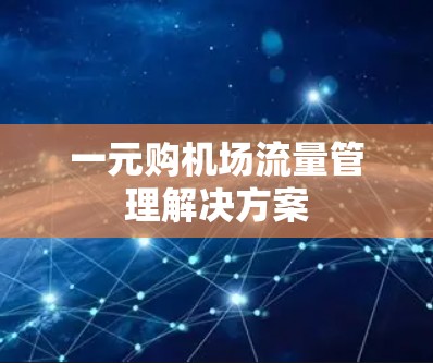 一元购机场流量管理解决方案