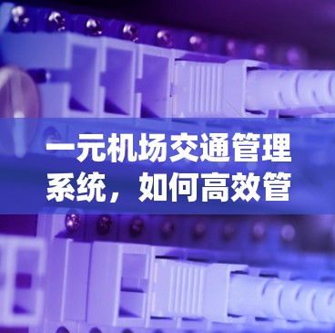 一元机场交通管理系统,如何高效管理单流机场的人流 一元机场交通管理系统,如何高效管理单流机场的人流