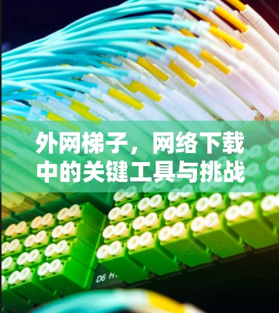 外网梯子,网络下载中的关键工具与挑战 外网梯子,网络下载中的关键工具与挑战