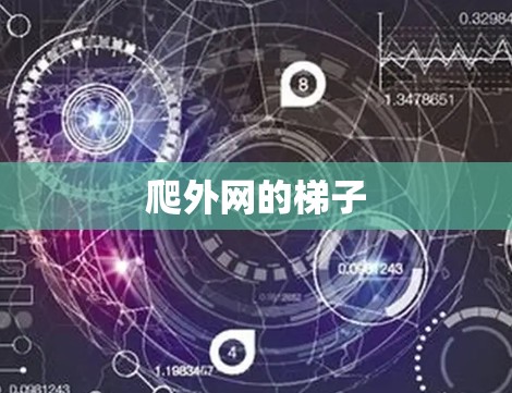 爬外网的梯子 爬外网的梯子