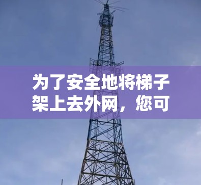 为了安全地将梯子架上去外网，您可以按照以下步骤操作