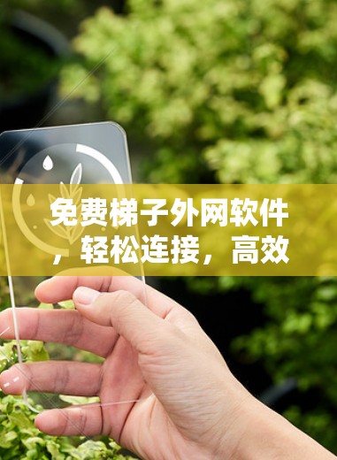免费梯子外网软件,轻松连接,高效管理 免费梯子外网软件,轻松连接,高效管理