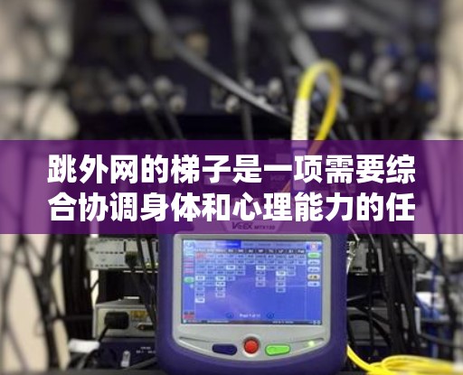 跳外网的梯子是一项需要综合协调身体和心理能力的任务,以下是逐步的指南 跳外网的梯子是一项需要综合协调身体和心理能力的任务,以下是逐步的指南