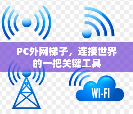 PC外网梯子,连接世界的一把关键工具 PC外网梯子,连接世界的一把关键工具