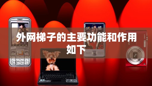 外网梯子的主要功能和作用如下 外网梯子的主要功能和作用如下