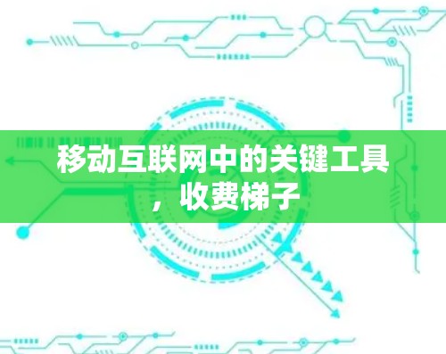 移动互联网中的关键工具,收费梯子 移动互联网中的关键工具,收费梯子