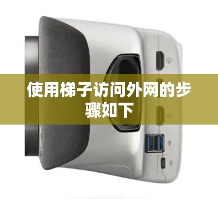 使用梯子访问外网的步骤如下 使用梯子访问外网的步骤如下