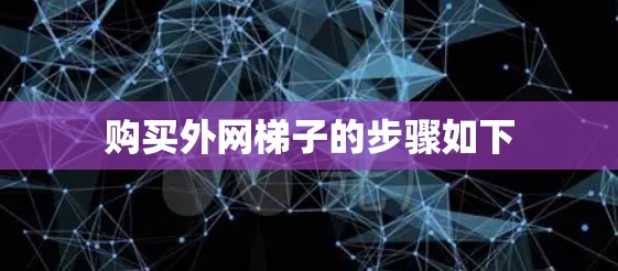 购买外网梯子的步骤如下 购买外网梯子的步骤如下