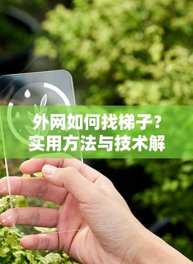 外网如何找梯子?实用方法与技术解析 外网如何找梯子?实用方法与技术解析