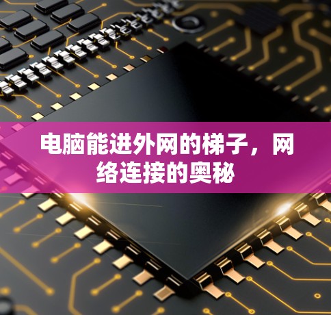 电脑能进外网的梯子,网络连接的奥秘 电脑能进外网的梯子,网络连接的奥秘