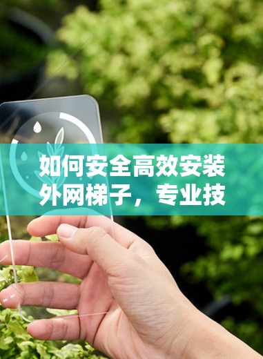 如何安全高效安装外网梯子,专业技巧与实用小技巧 如何安全高效安装外网梯子,专业技巧与实用小技巧