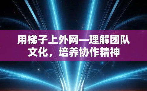 用梯子上外网—理解团队文化,培养协作精神 用梯子上外网—理解团队文化,培养协作精神