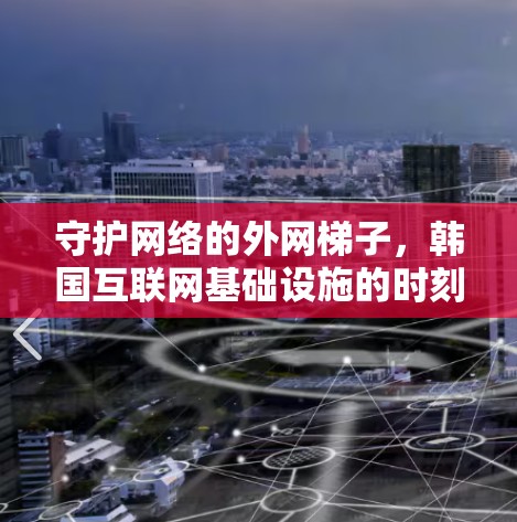守护网络的外网梯子,韩国互联网基础设施的时刻 守护网络的外网梯子,韩国互联网基础设施的时刻