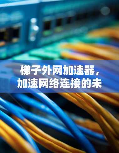 梯子外网加速器,加速网络连接的未来解决方案 梯子外网加速器,加速网络连接的未来解决方案