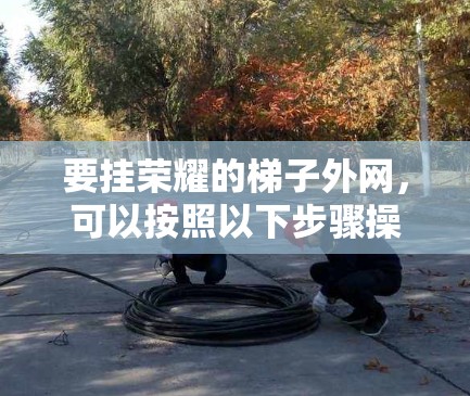 要挂荣耀的梯子外网,可以按照以下步骤操作 要挂荣耀的梯子外网,可以按照以下步骤操作