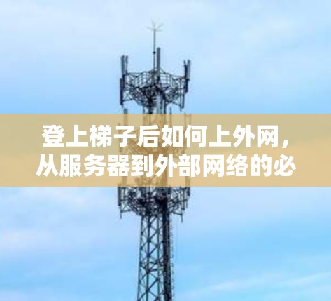 登上梯子后如何上外网,从服务器到外部网络的必经之路 登上梯子后如何上外网,从服务器到外部网络的必经之路